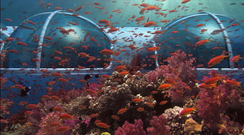 Poseidon Undersea Resort in Fiji