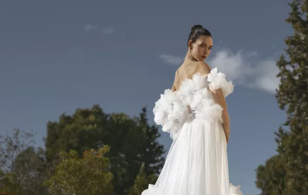 2024 Bridal Trends: Short Sleeve Wedding Dresses Take Center Stage